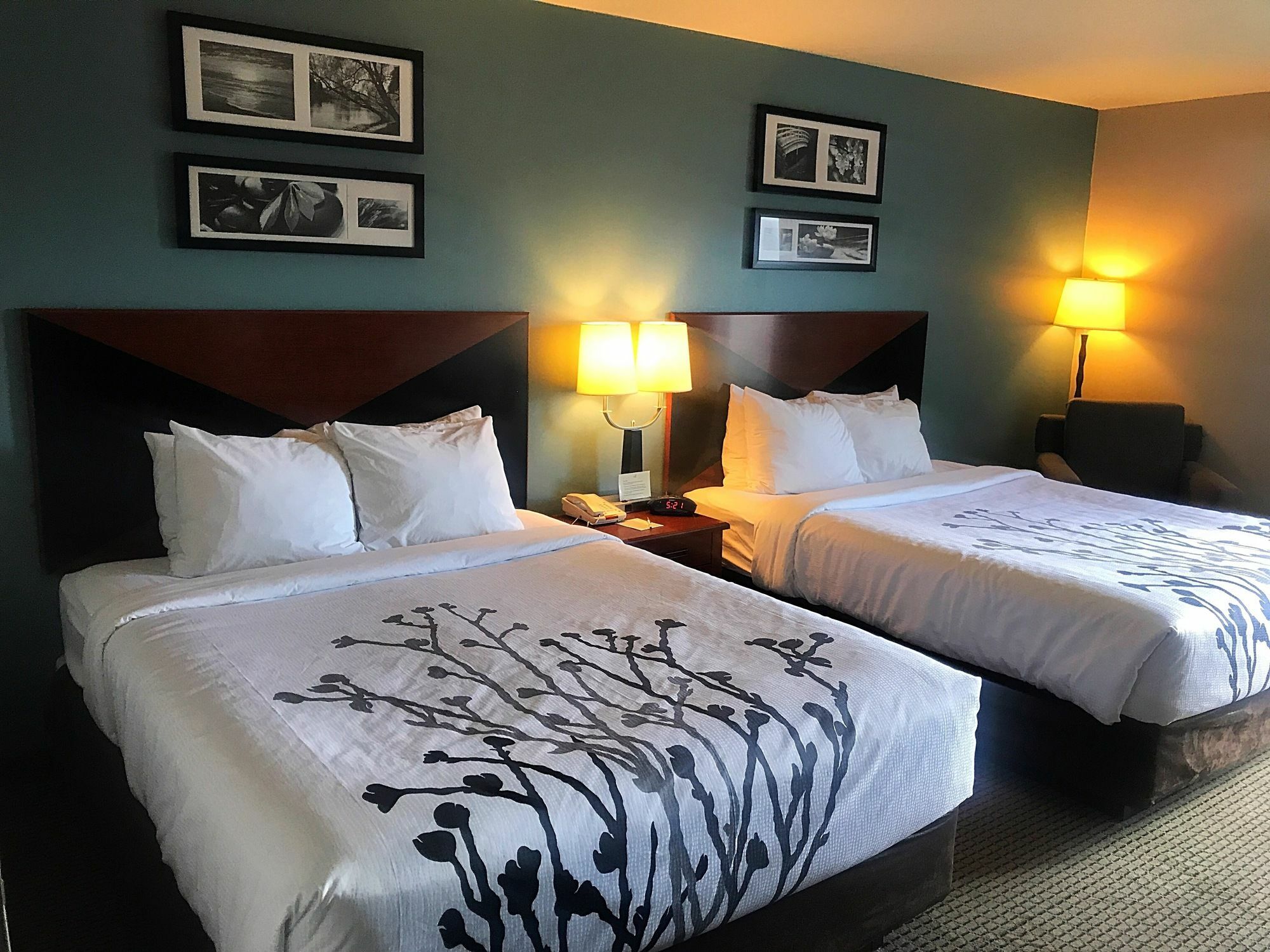 Sleep Inn & Suites Rapid City Eksteriør billede